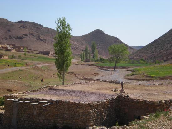 Izalfane 03