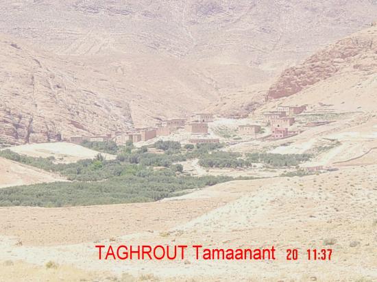 TAGHROUT Tamaanant