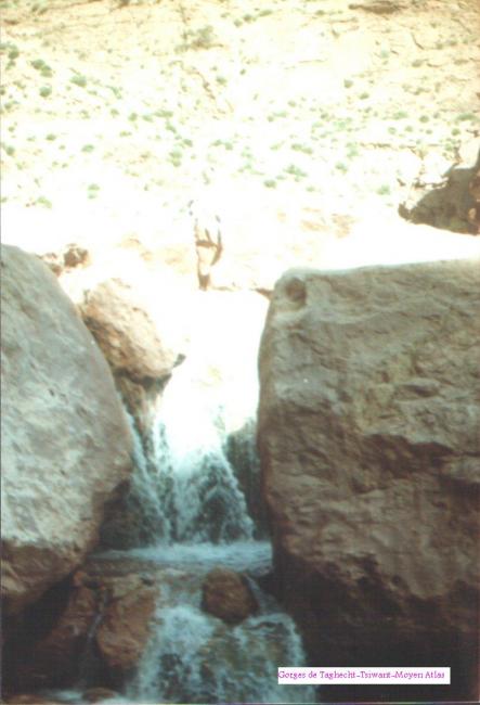 Les gorges de Taghecht