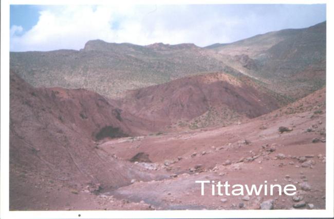 Tittawine