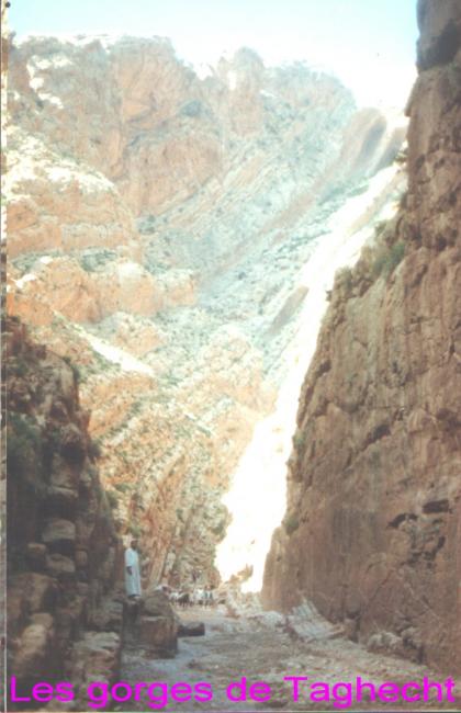 Les gorges de Taghecht