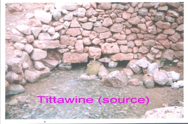 Tittawine (Source)