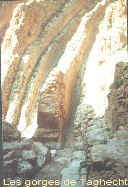 Les gorges de Taghecht